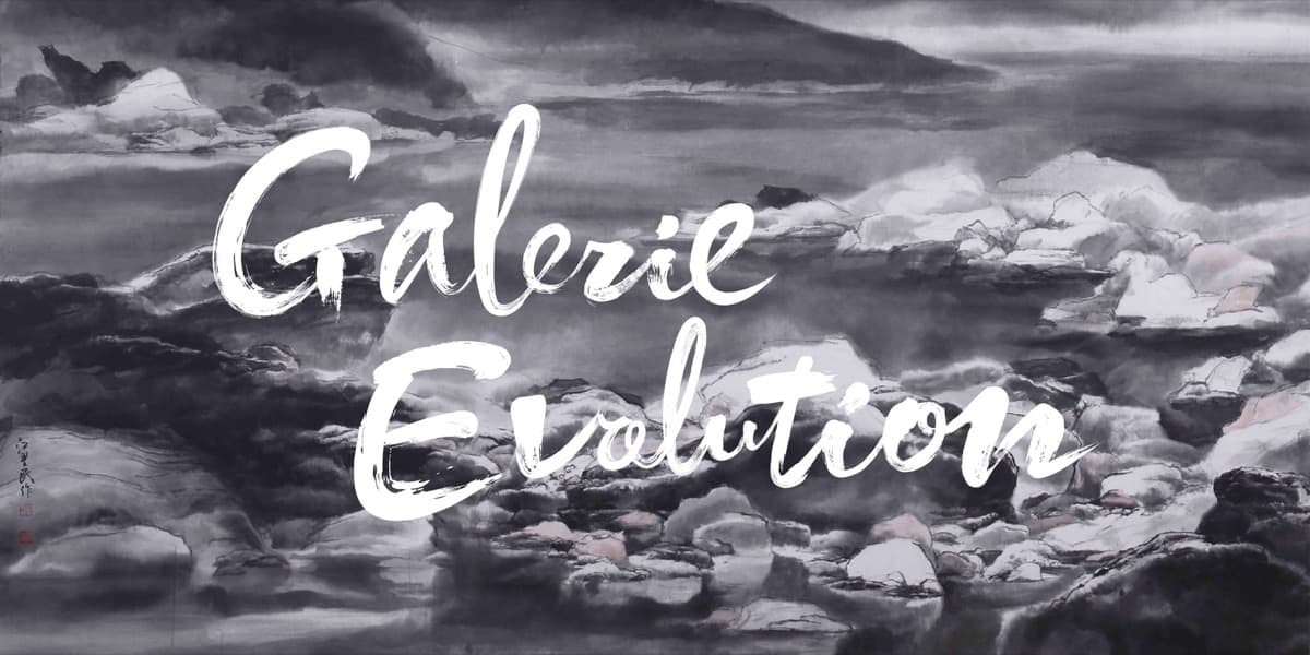Galerie Evolution - 7