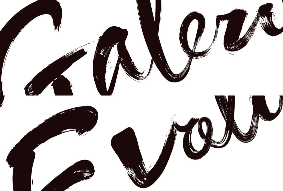 Galerie Evolution - 2