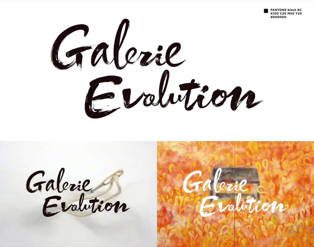 Galerie Evolution - 3