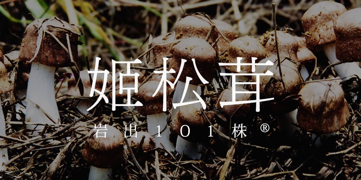 日本富士國際開發有限會社作品縮圖│鹿果數位溝通有限公司
